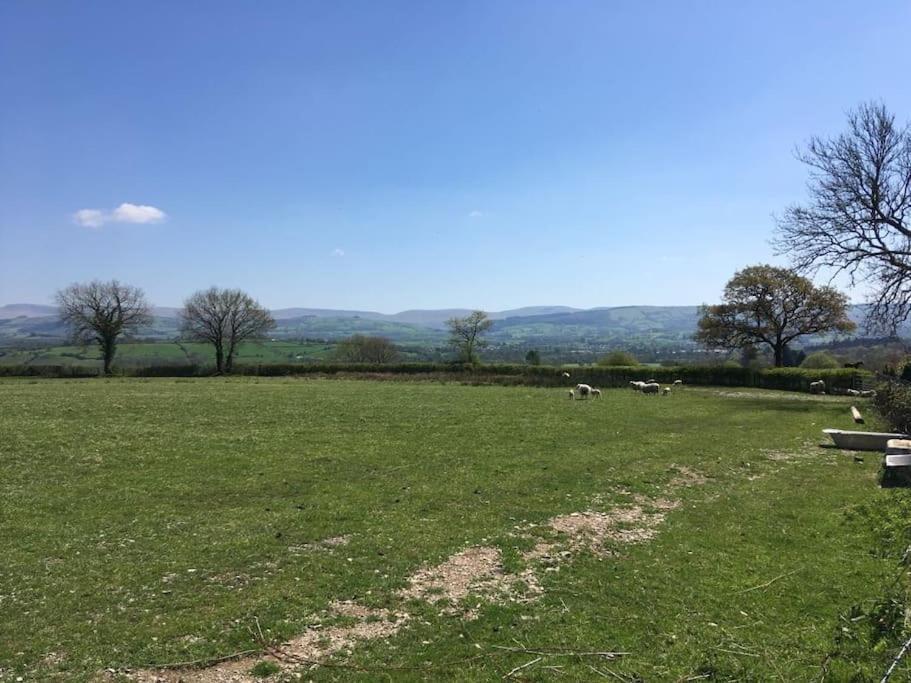 Perfect Cottage Retreat Near The Brecon Beacons Llanwrda Exterior foto